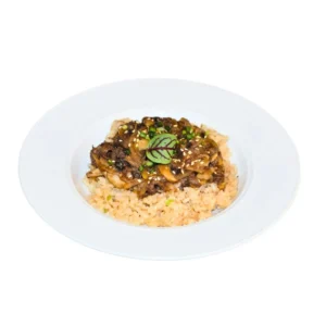 Bulgogi Rice