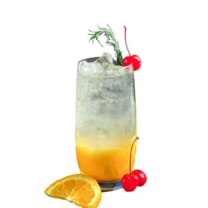 MANGO ORANGE PUNCH